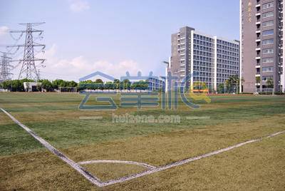 上海金融学院体育场基础图库8